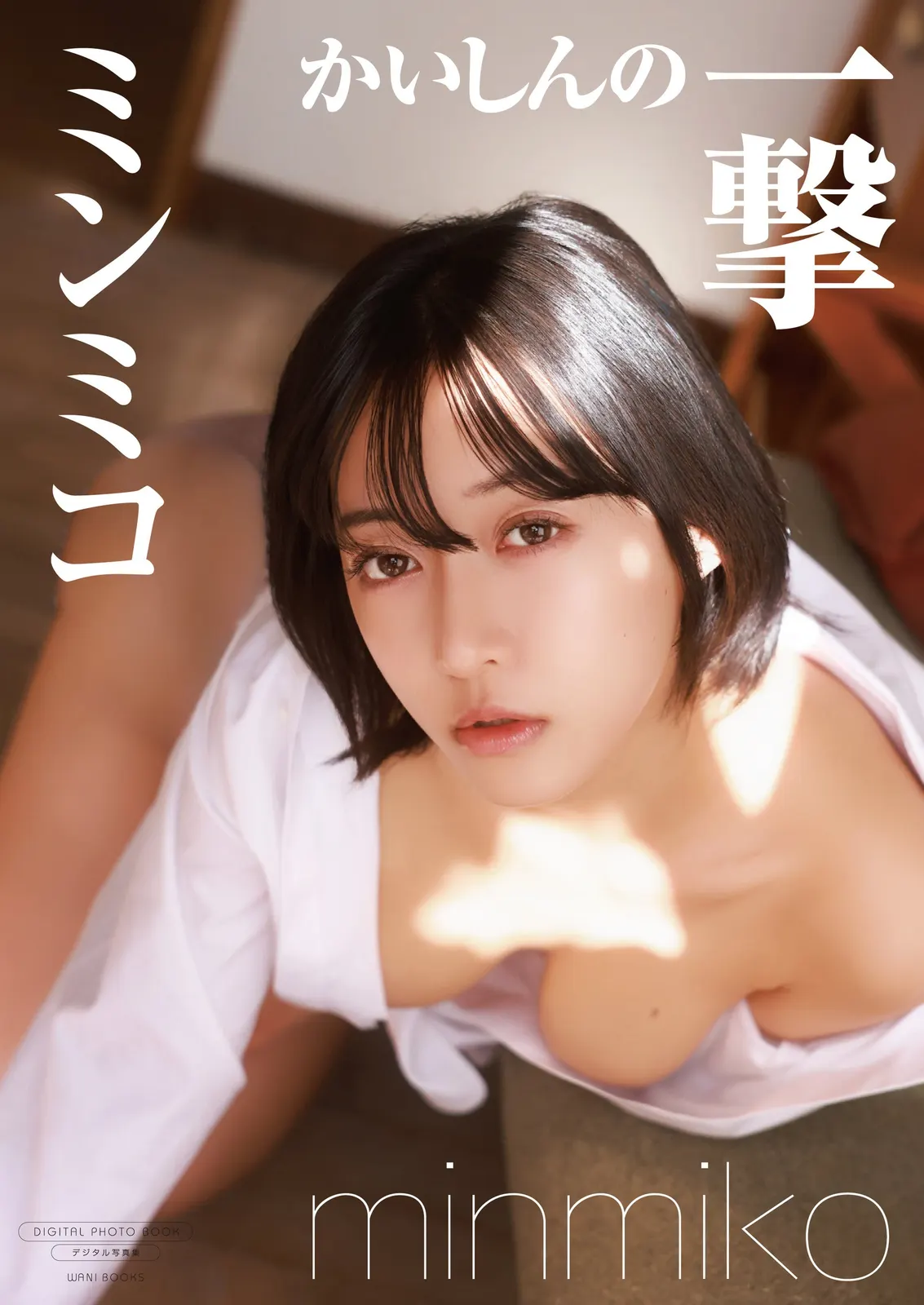 Cover of the digital-only photobook Kaishin no Ichigeki