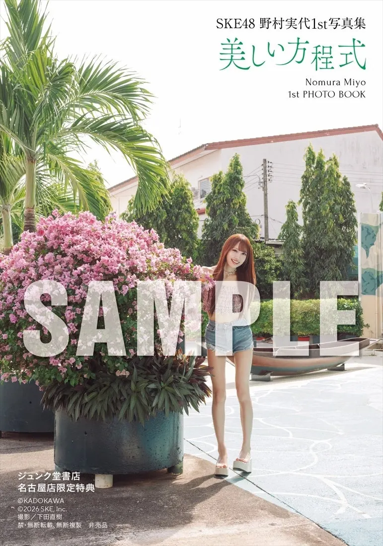 Miyo Nomura (野村実代) first photobook Beautiful Equation promotional image