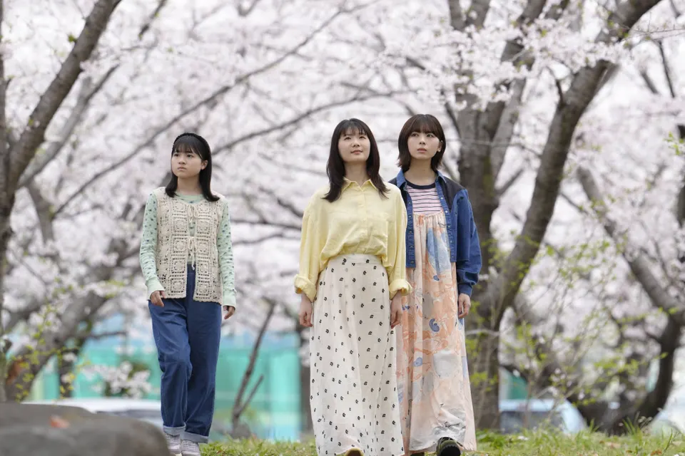 Chise Niitsu, Karin Ono and Ayame Tsutsui, from left, walk beneath flowering cherry trees in Sakura Polyphony.