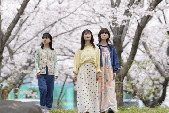 Chise Niitsu, Karin Ono and Ayame Tsutsui, from left, walk beneath flowering cherry trees in Sakura Polyphony.